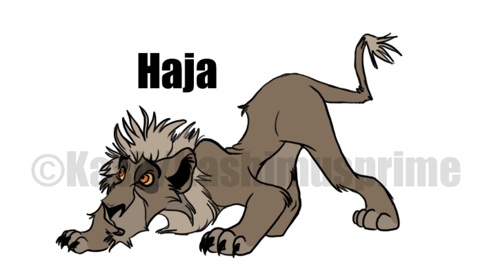Haja the cowardly