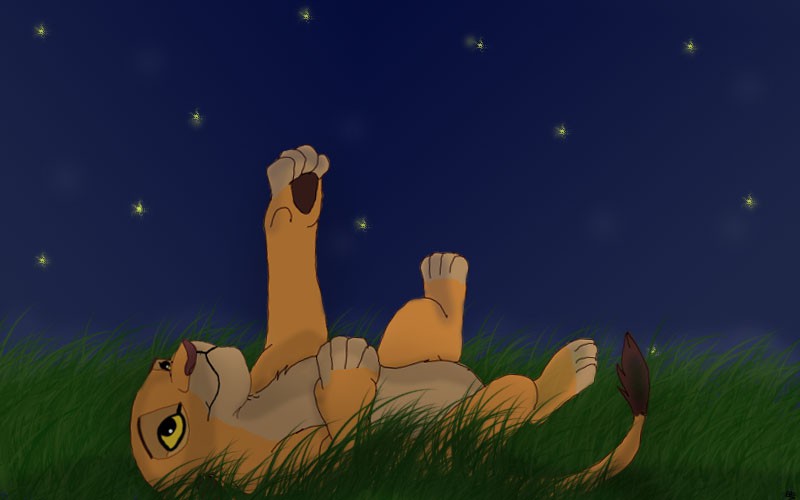 Look at the sky