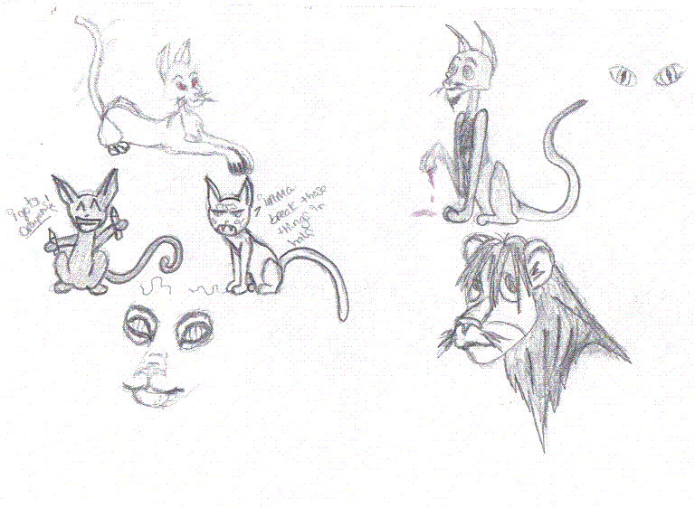 kitties[2]