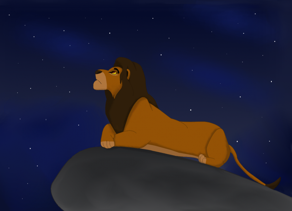 Kopa looks the sky
