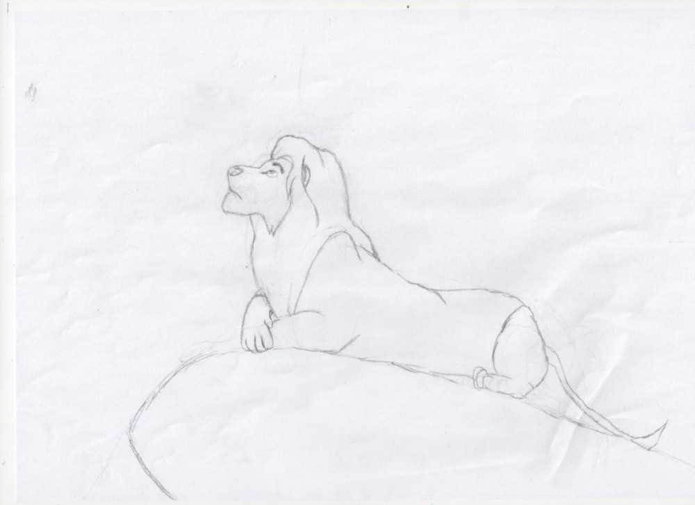 Brouillon - Kopa looks the sky