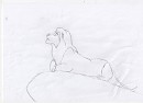 Brouillon - Kopa looks the sky