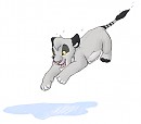 Boo Jumps In A Puddle