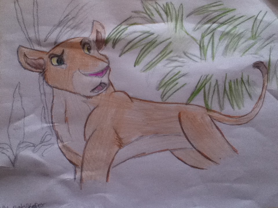 Nala Project!