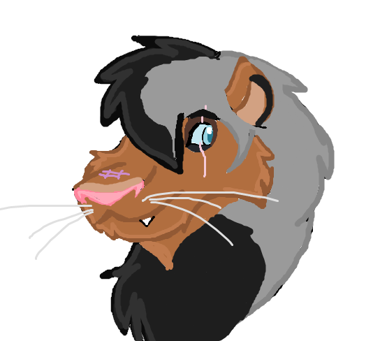 Kodi head shot