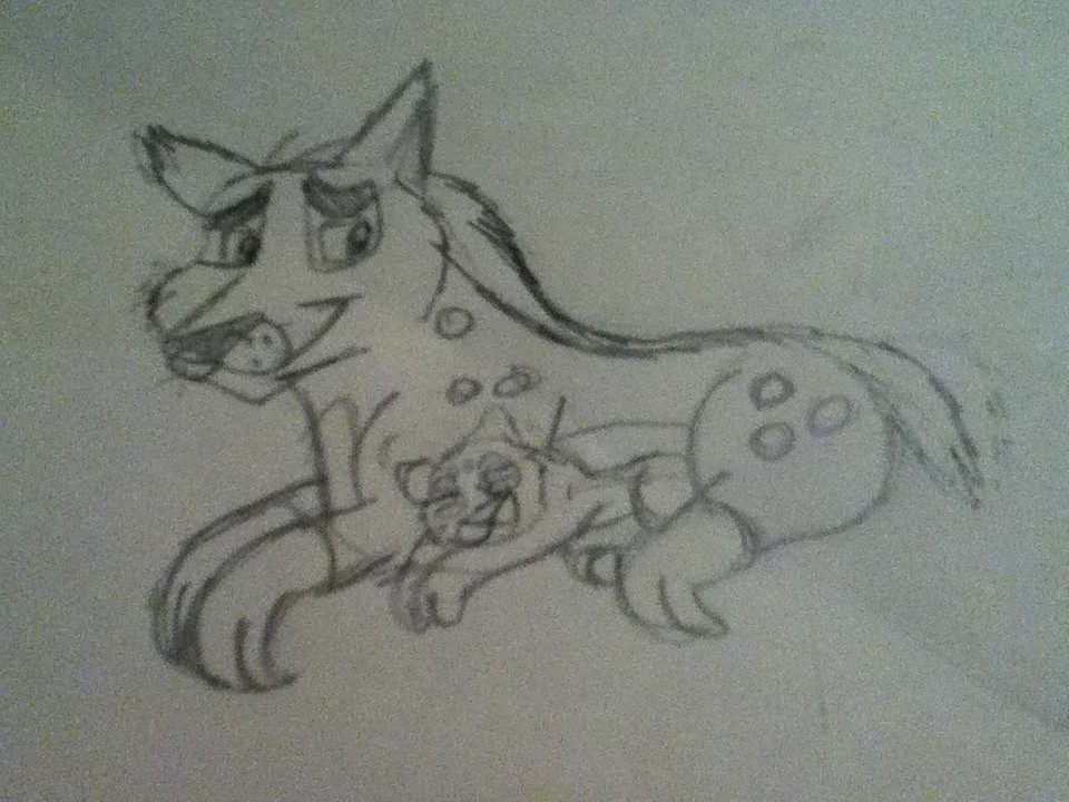 Quick Sketch