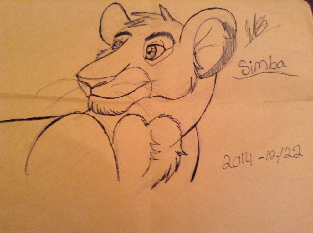 Simba sketch