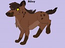 Riley new Look