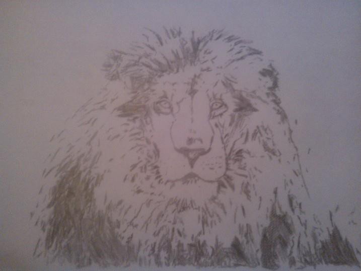 le roi ahadi