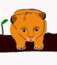 simba bébé