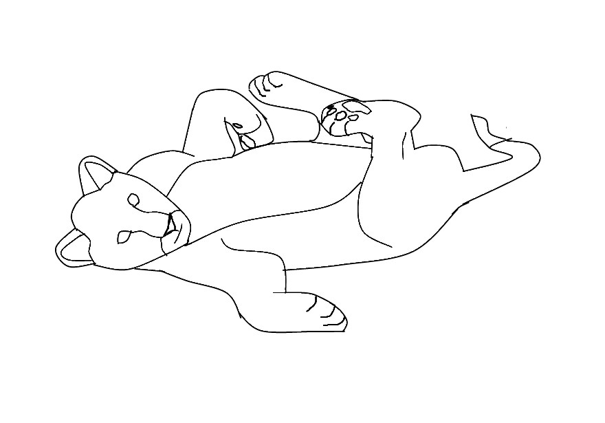 Lineart