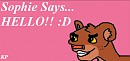 Sophie Welcome Banner