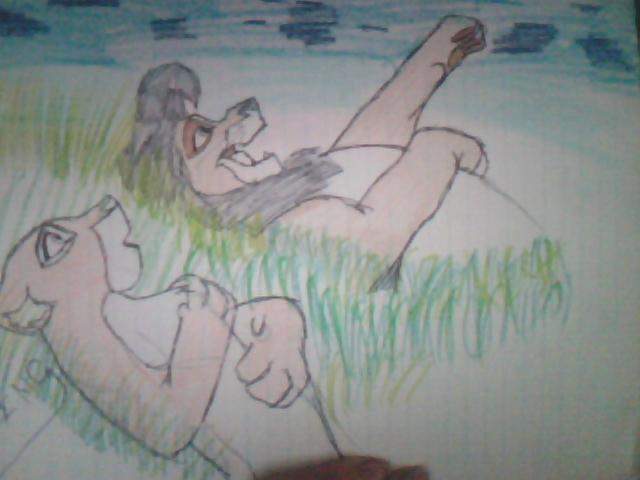 Star Gazing