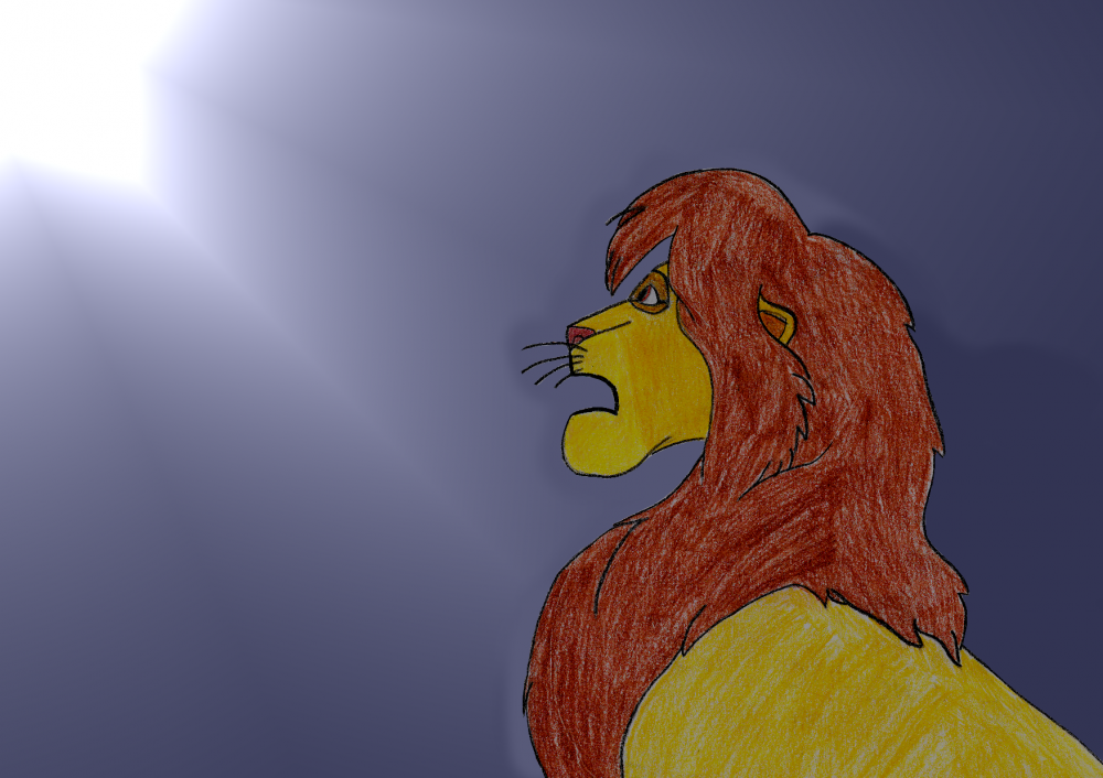 Kopa