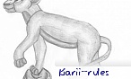 kiarii_rules
