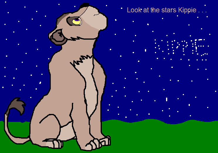 Look at the stars ... Dixiade prize