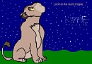 Look at the stars ... Dixiade prize