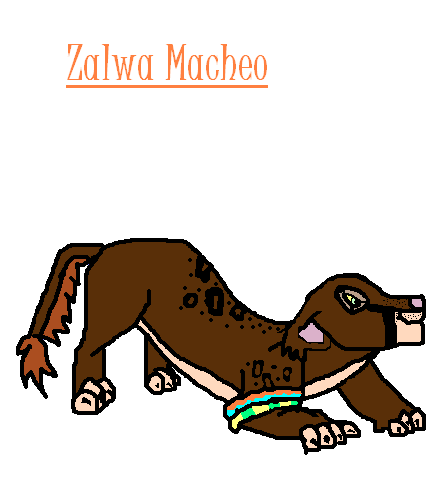 Zalwa Macheo