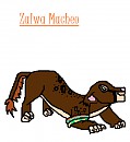 Zalwa Macheo