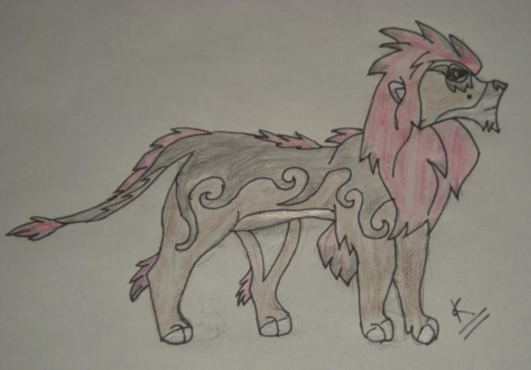 lion au hasard (adoption)