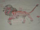 autre lion au hasard(adoption)