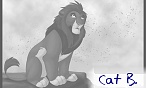 Cat B.