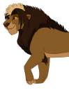Asad adult
