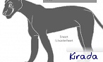 Kirada