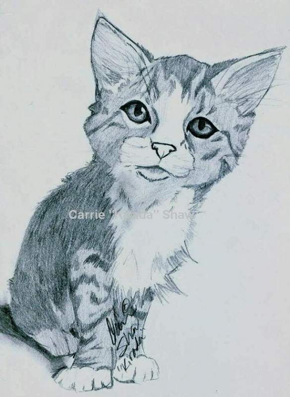 The kitty of -- Doom? O_o' 