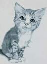 The kitty of -- Doom? O_o' 