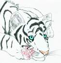 Another Tiger Cub.