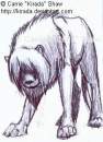 Inky Lion! 