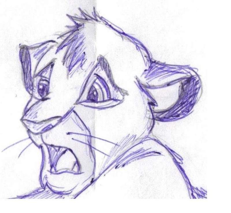 simba