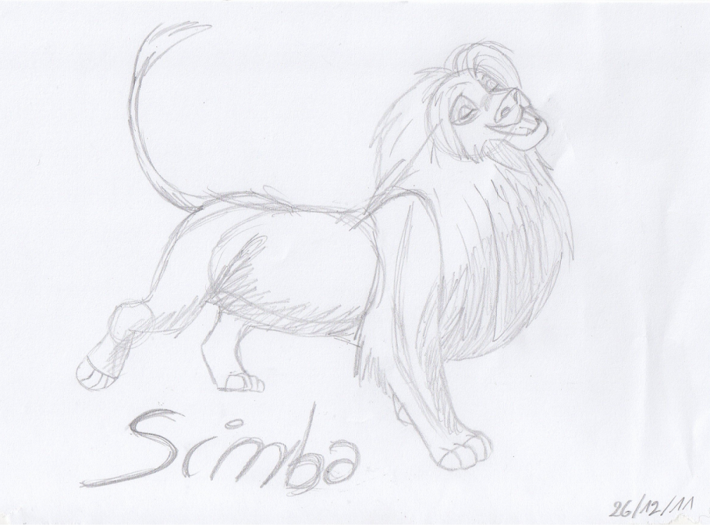 Hakuna Matata Simba !
