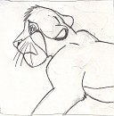 Sad Simba