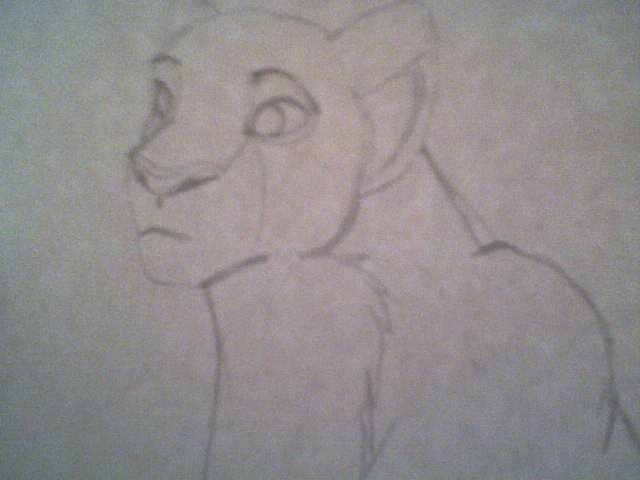 Nala doodle