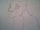 Nala doodle