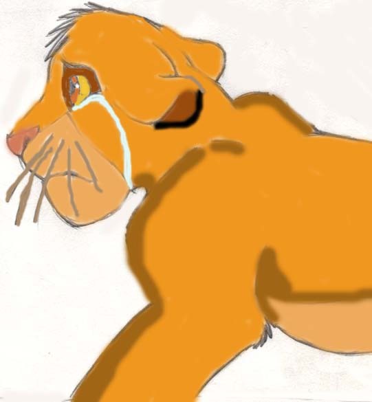 Sad Simba Doodle (colored version)