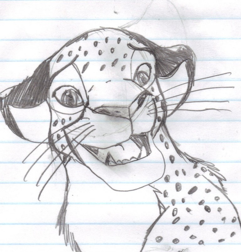 Old Cheetah Doodle