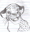 Old Cheetah Doodle