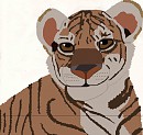 Tiger Cub Doodle Colored