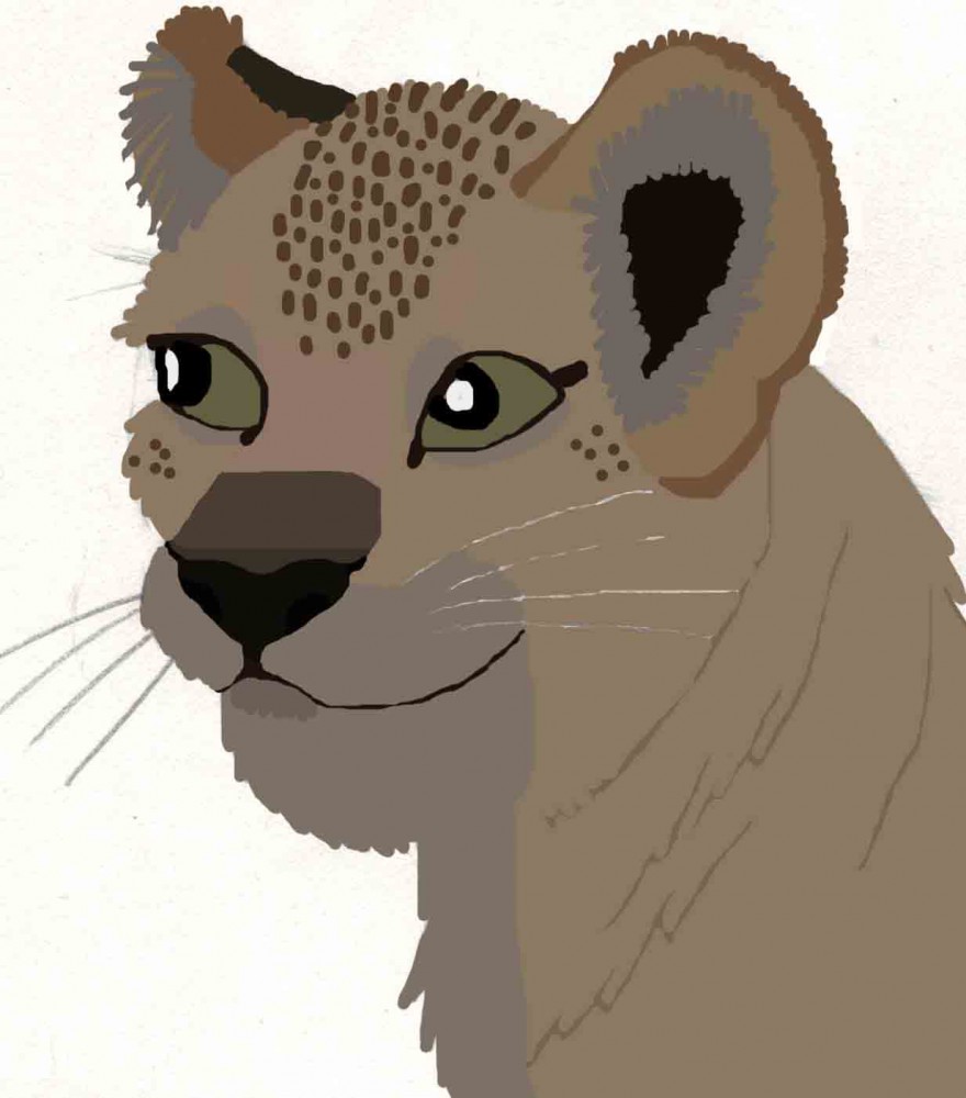 Lion Cub Colored
