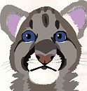 Cougar Sketch Colored