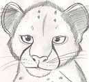 Cheetah Cub Sketch