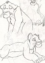 Simba doodles
