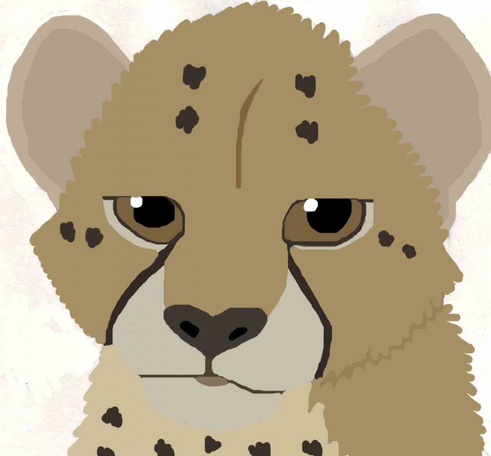Cheetah Cub Colored