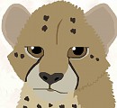 Cheetah Cub Colored