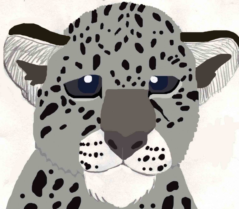 Snow Leopard Cub Colored