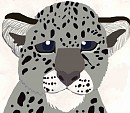 Snow Leopard Cub Colored