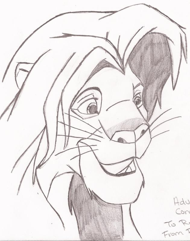 Adult Simba Sketch
